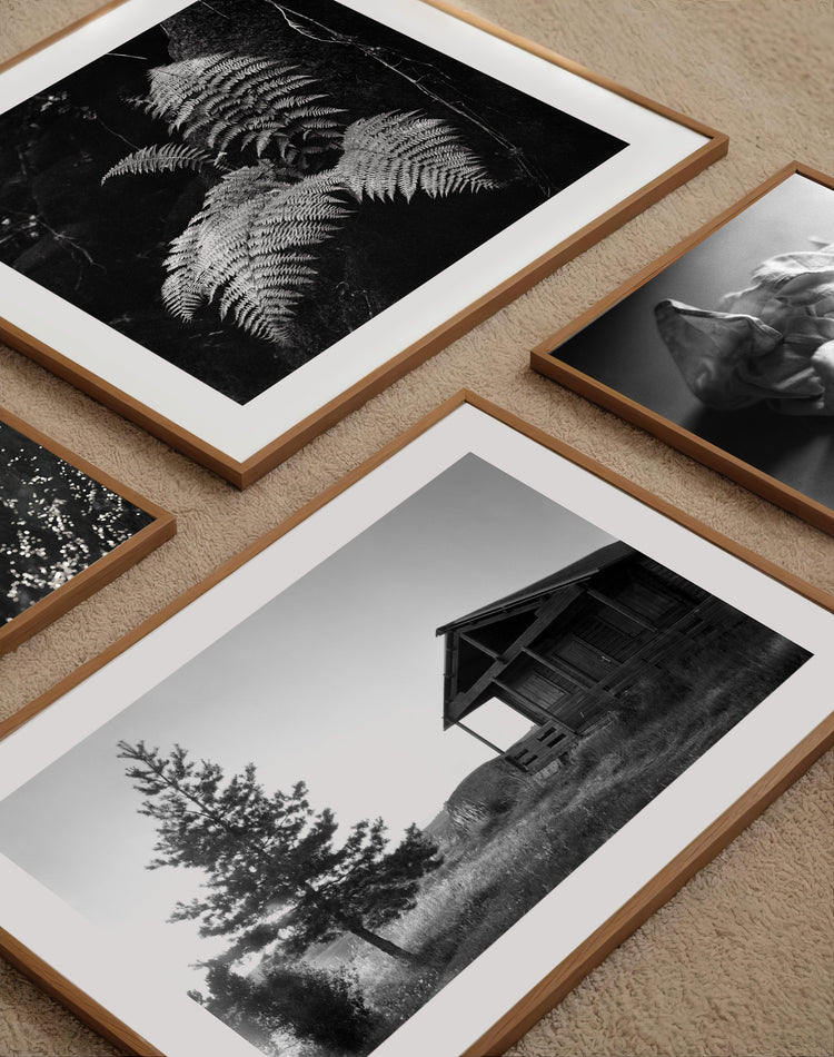Black & White Prints