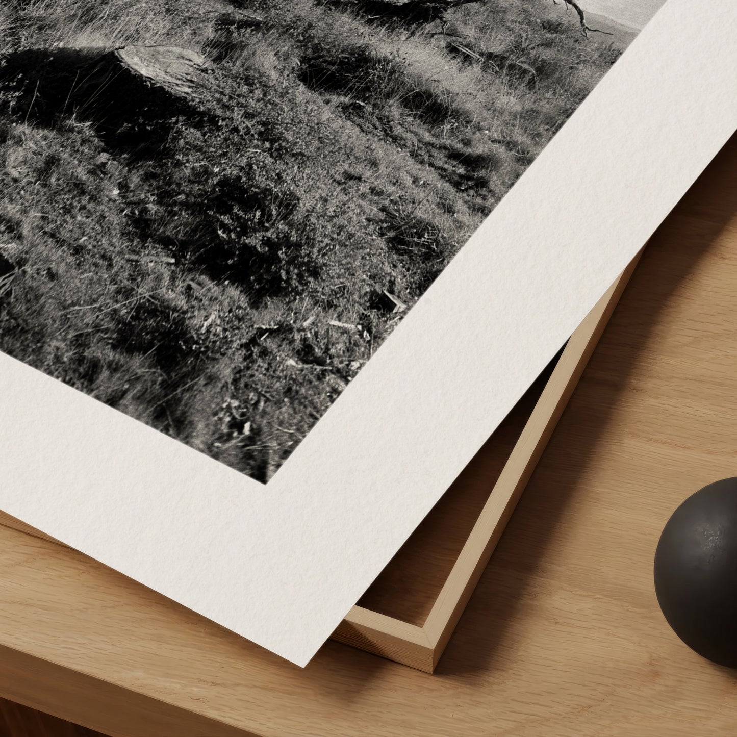 7 Stages of a Tree II - Quiet & Moody Nature Scene on Fine Art Paper