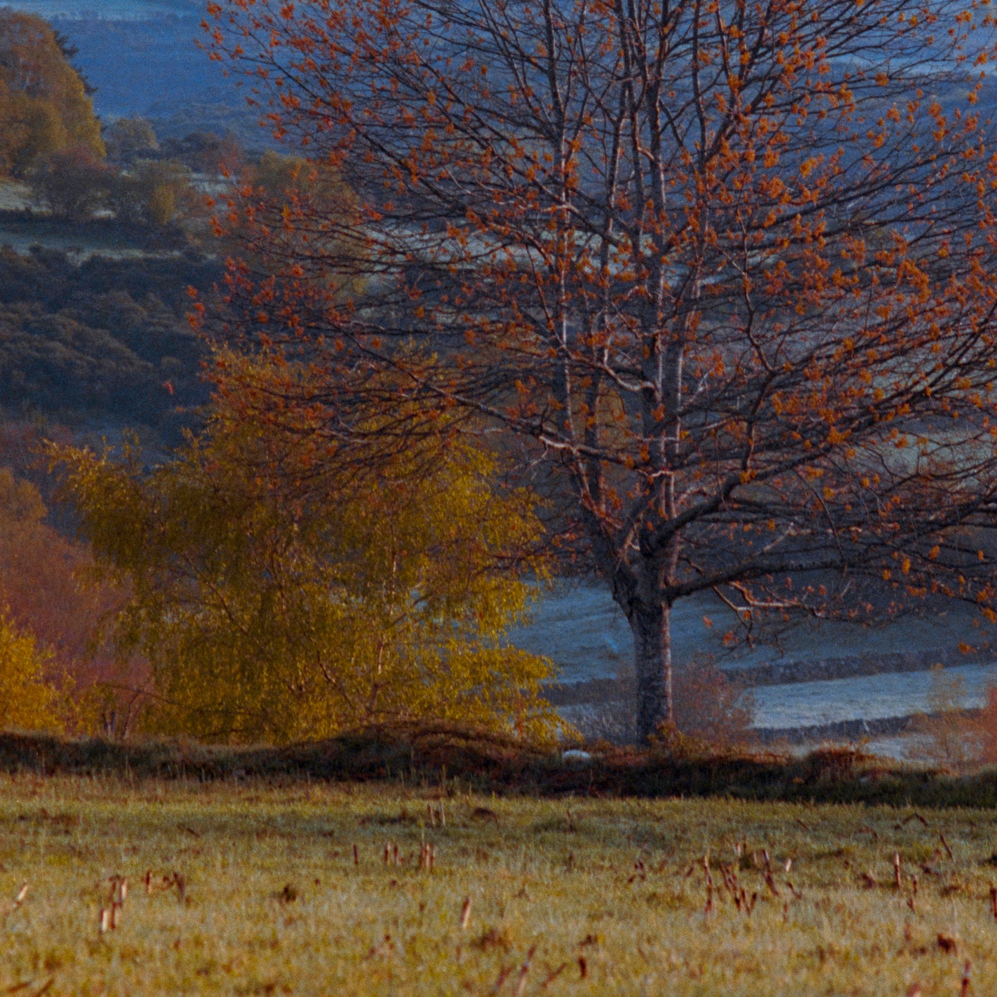 Awakening - Colourful Landscape Photograph Giclée Print