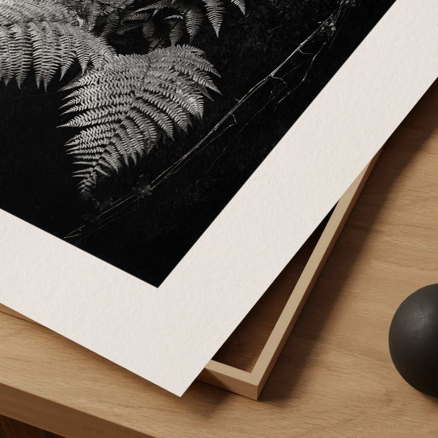 Big Fern - Gallery-Grade Photo Print on Archival Fine Art Paper