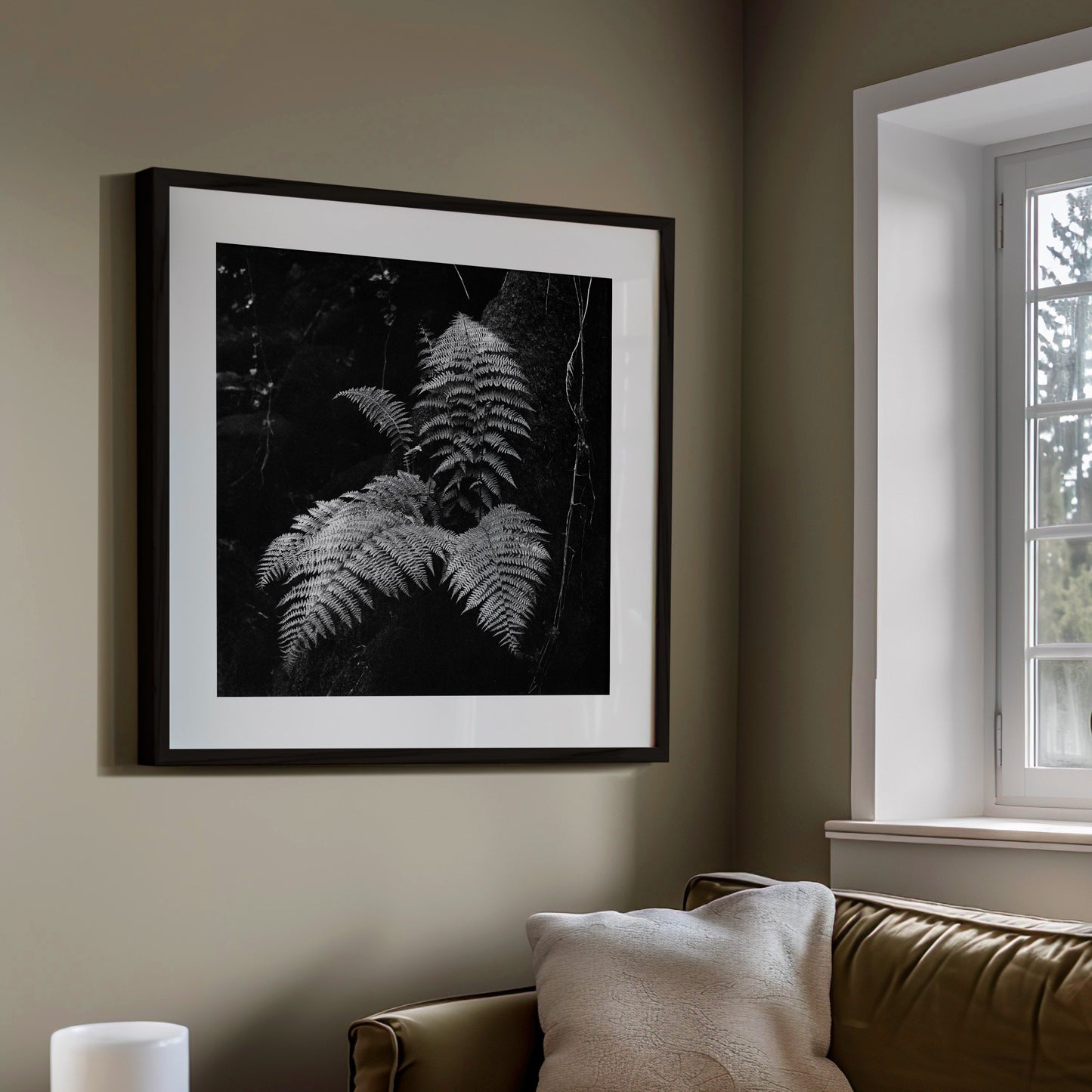 Big Fern - Gallery-Grade Photo Print on Archival Fine Art Paper