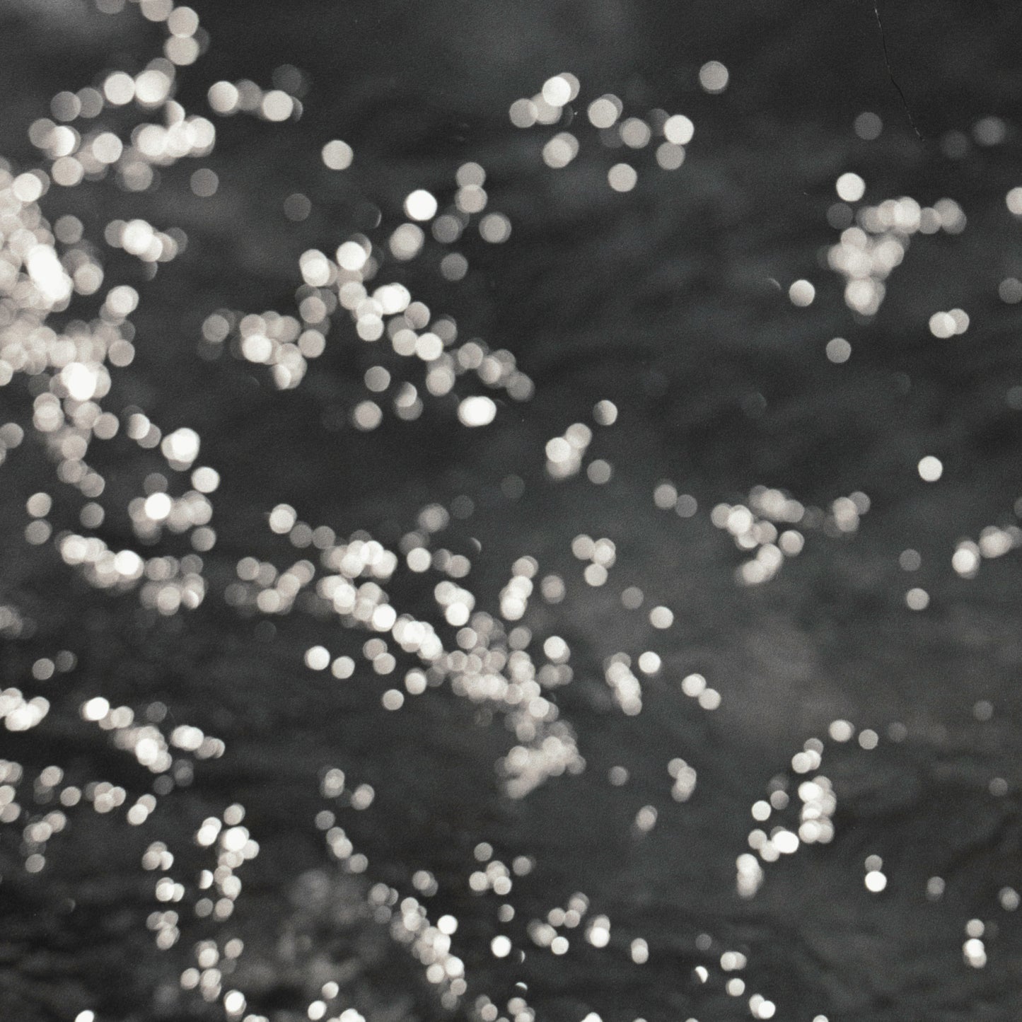 Branch above water - Premium Print on Fine Art Paper
