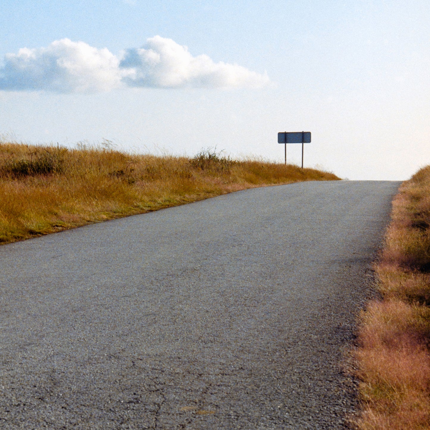 Going Backwards - Minimalist Nature Wall Art Photography Print