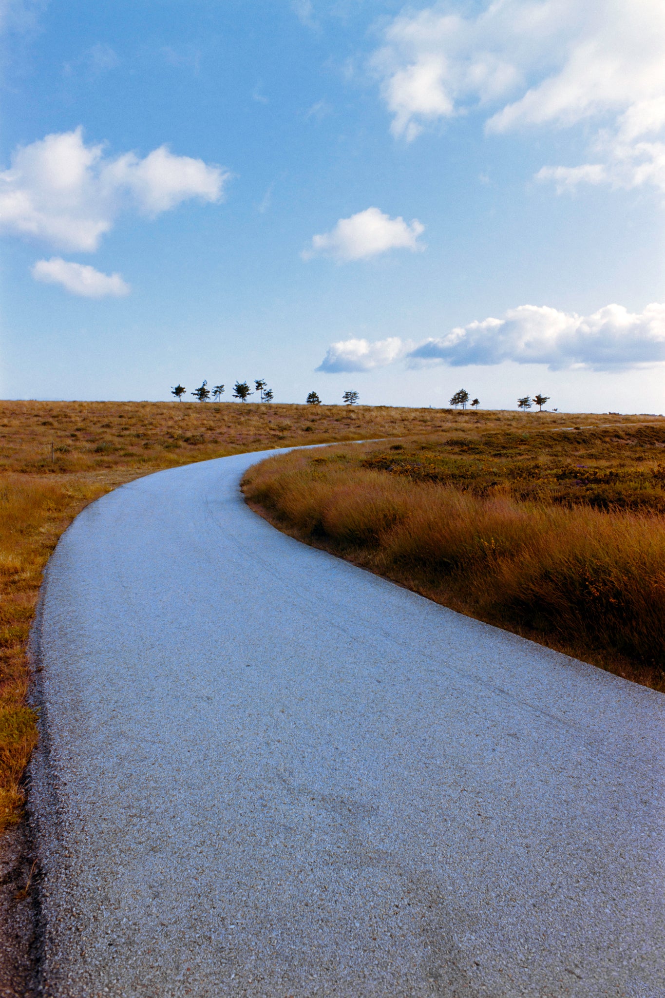 Going Somewhere - Simple Countryside Photo Print on Fine Art Paper