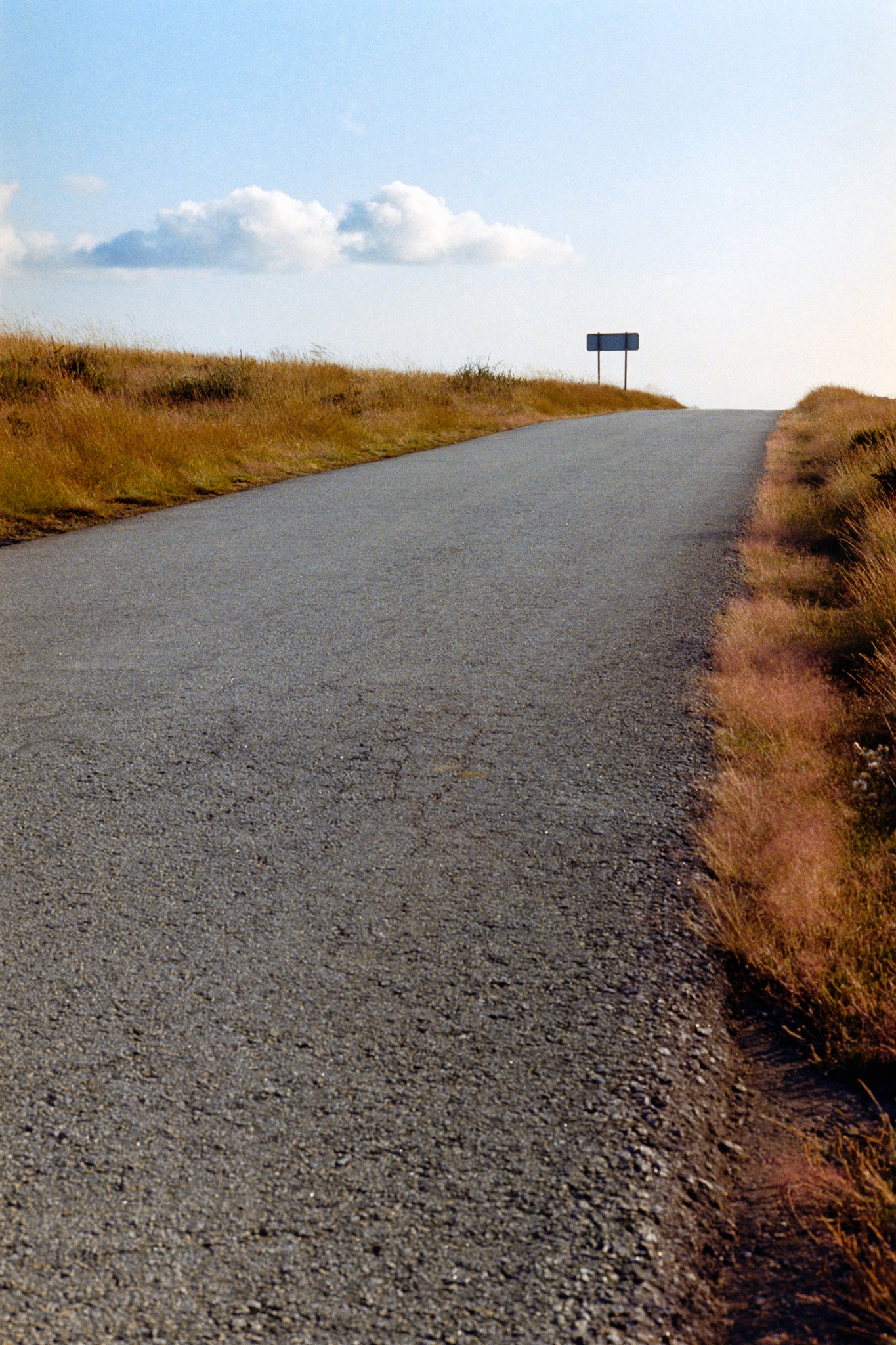 Going Backwards - Minimalist Nature Wall Art Photography Print