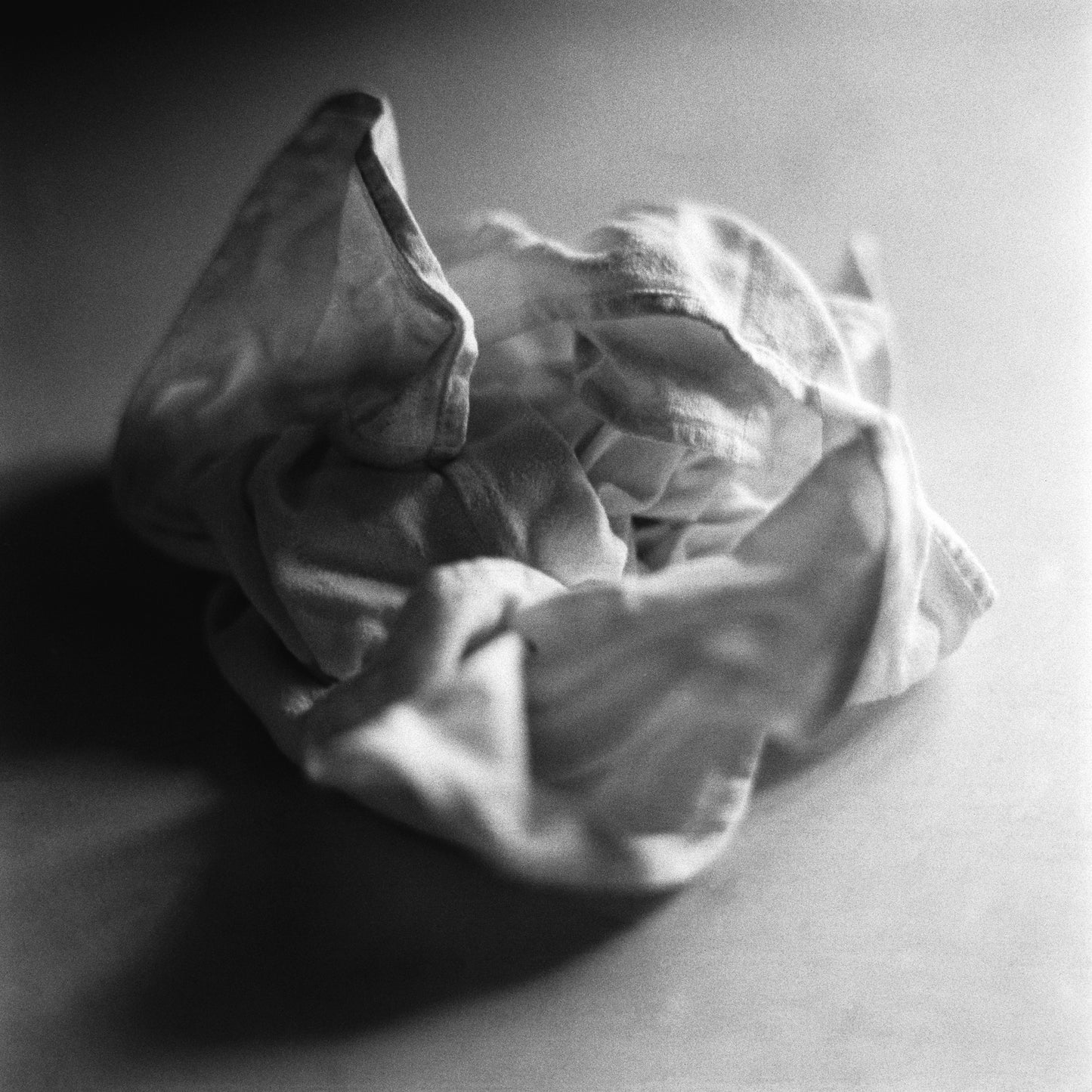 Wrinkled - Gallery-Grade Photo Print on Archival Fine Art Paper