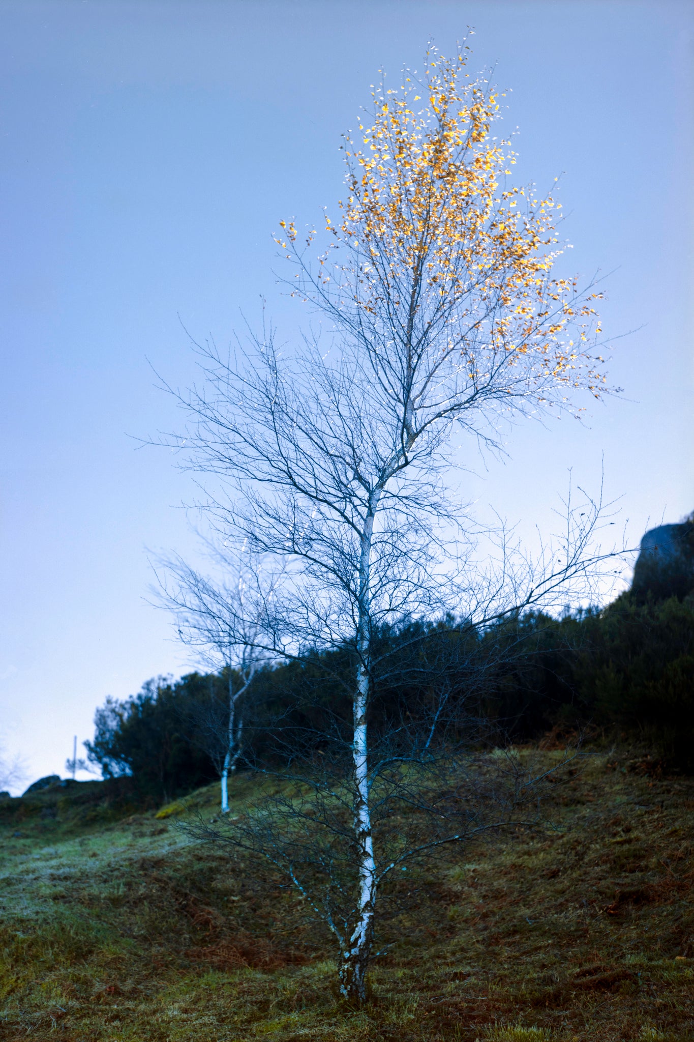The Remaining Autumn - Rustic Countryside Landscape Photography Print