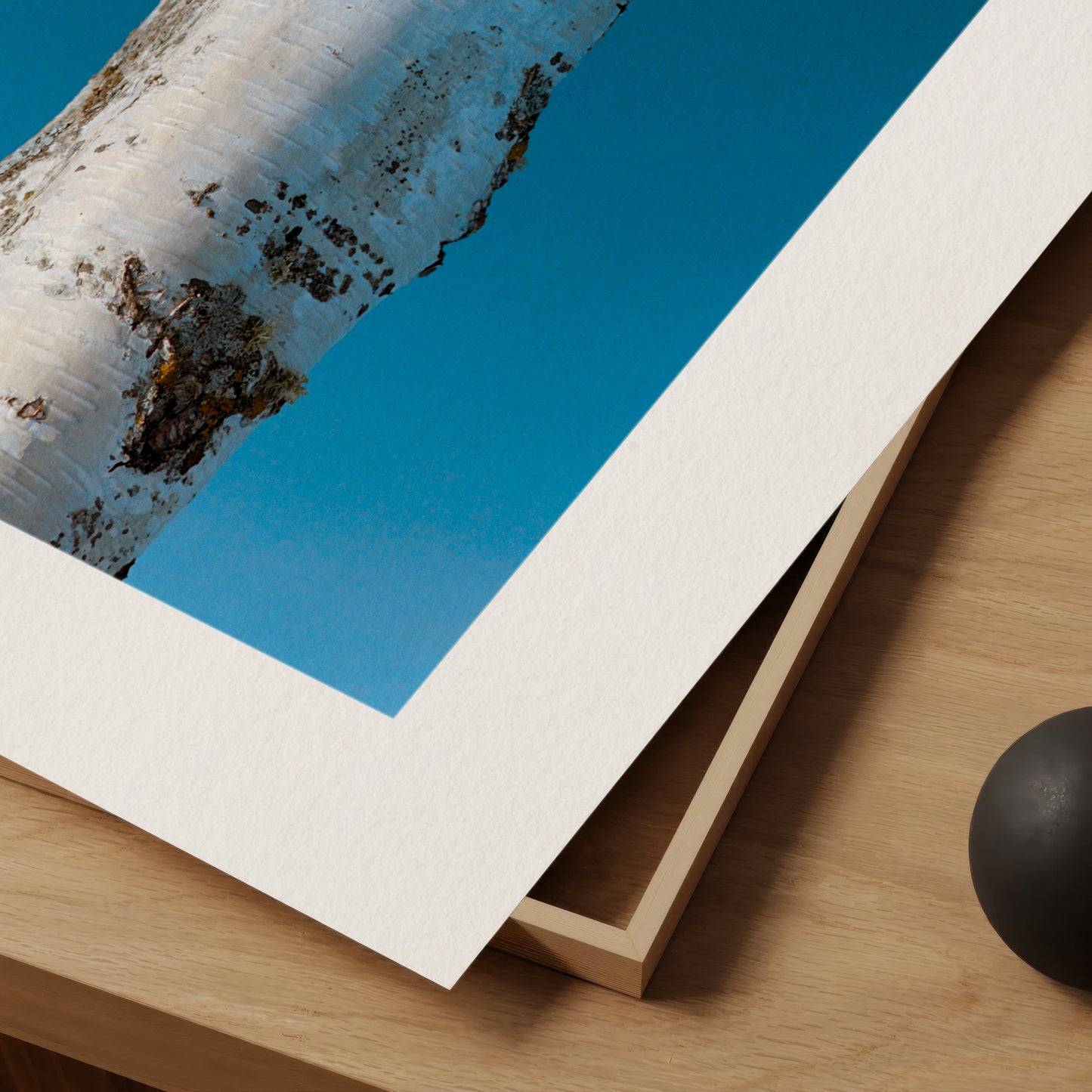 Silent Reverie - Modern Minimalist Nature Print on Fine Art Paper