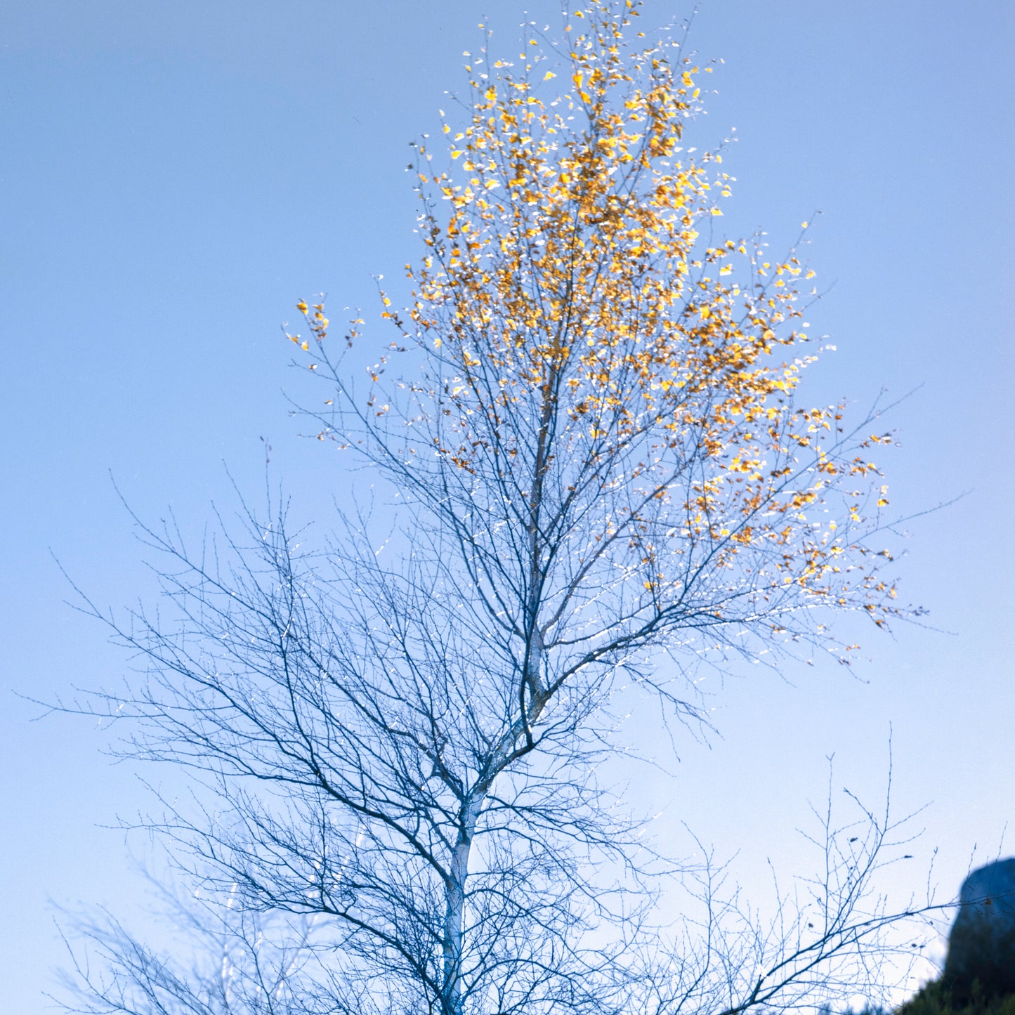 The Remaining Autumn - Rustic Countryside Landscape Photography Print