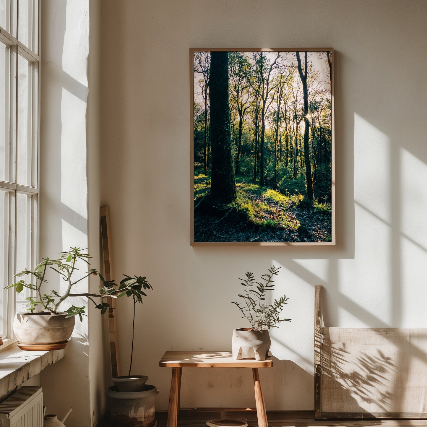 Golden Hour in the Forest - Limited Edition Print