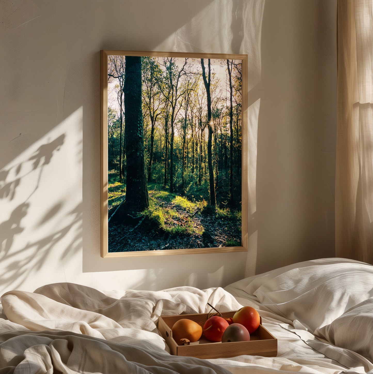 Golden Hour in the Forest - Limited Edition Print