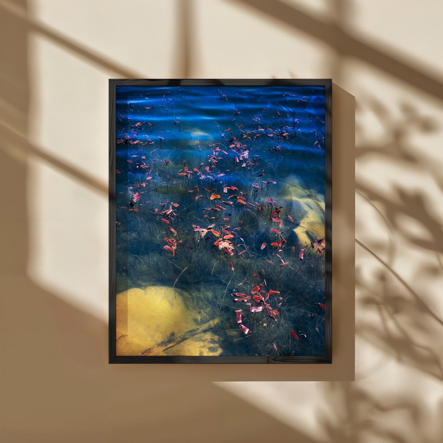 Pondweed at Dawn - Limited Edition Print