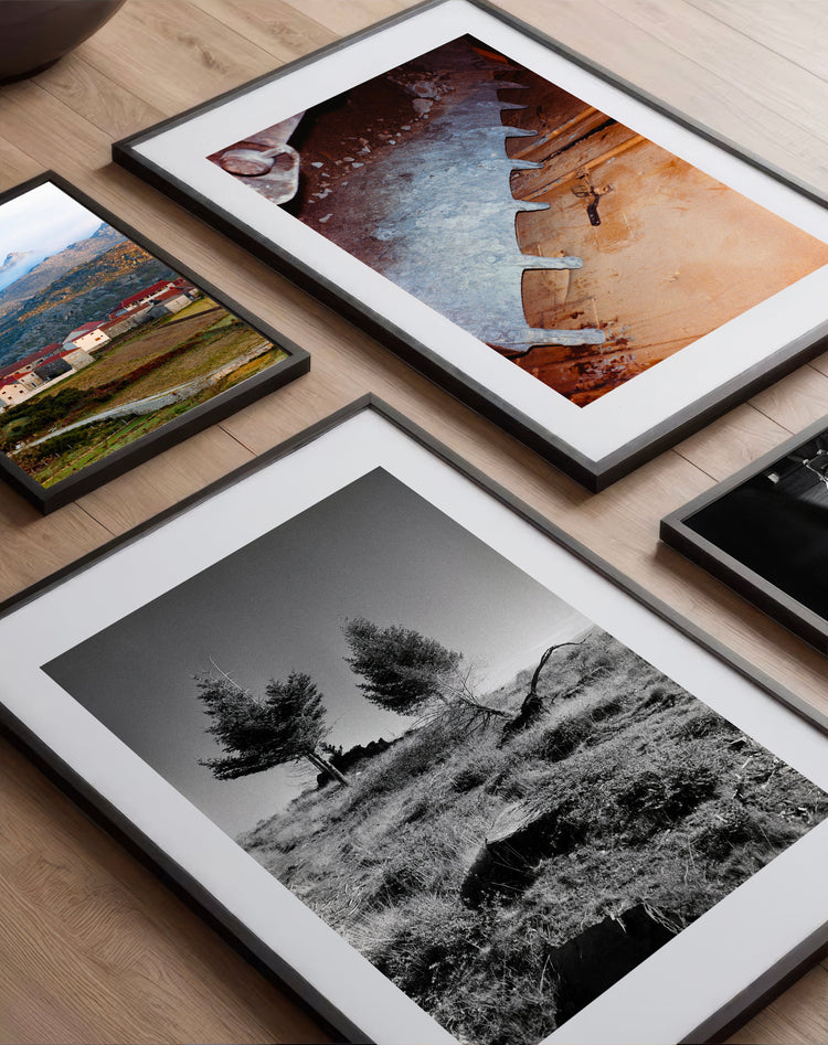 Fine Art Prints