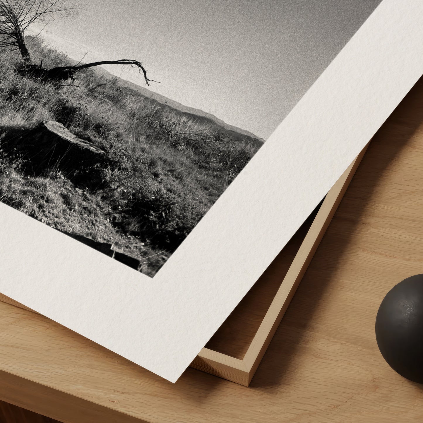 7 Stages of a Tree I - Serene Landscape Monochrome Print on Archival Fine Art Paper