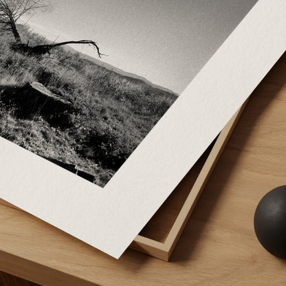7 Stages of a Tree I - Serene Landscape Monochrome Print on Archival Fine Art Paper