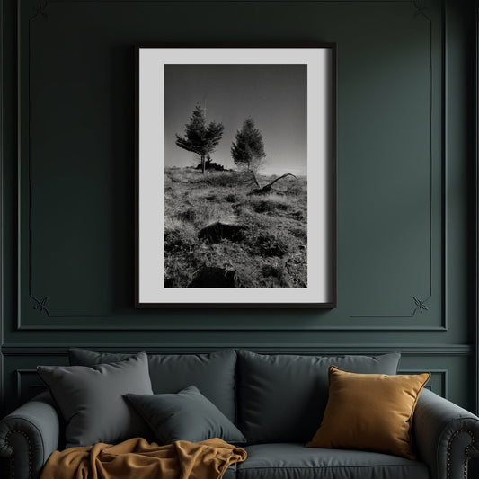 7 Stages of a Tree II - Quiet & Moody Nature Scene on Fine Art Paper