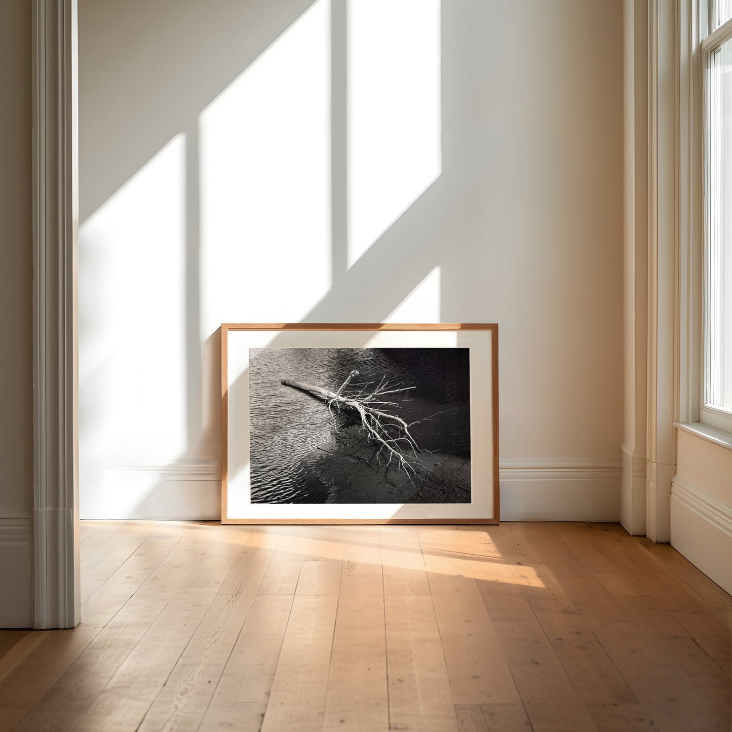 Anatomy of a Fall I - Premium Print on Fine Art Paper