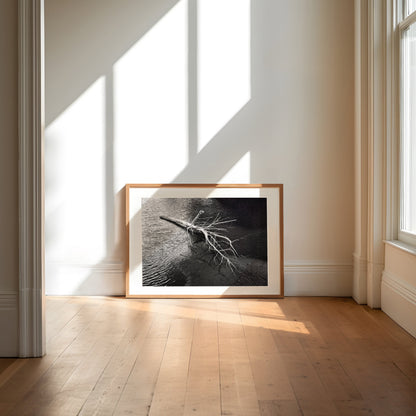 Anatomy of a Fall I - Premium Print on Fine Art Paper