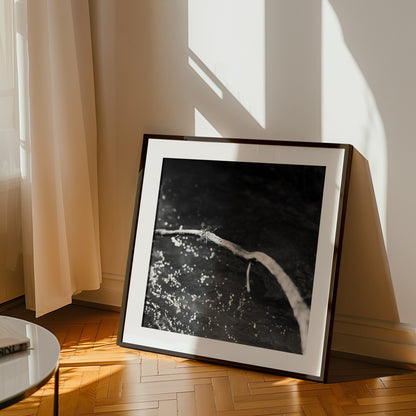 Branch above water - Premium Print on Fine Art Paper
