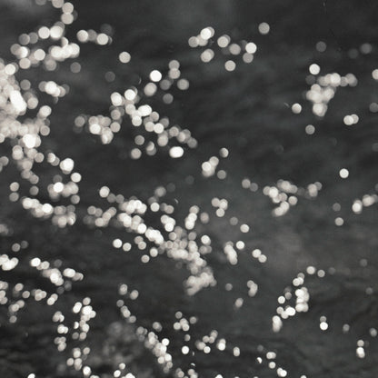 Branch above water - Premium Print on Fine Art Paper