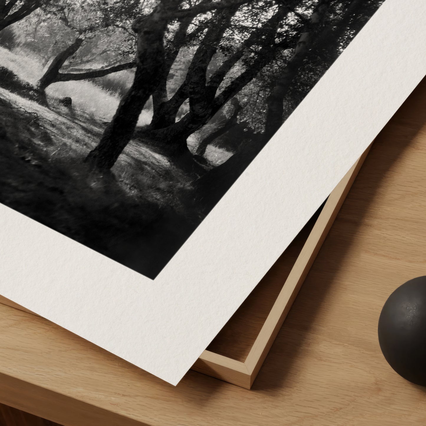 Enchanted Forest - Luxury Print on Museum-Grade Fine Art Paper