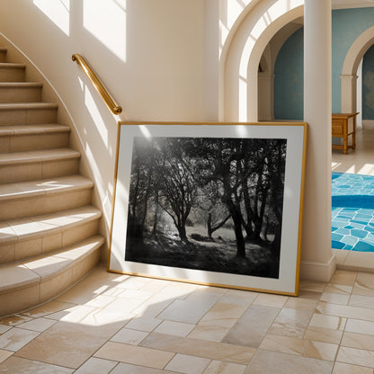 Enchanted Forest - Luxury Print on Museum-Grade Fine Art Paper