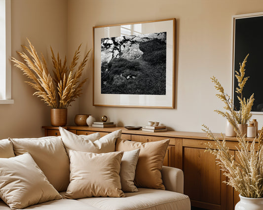 Fallen Petals - Luxury Print on Museum-Grade Fine Art Paper