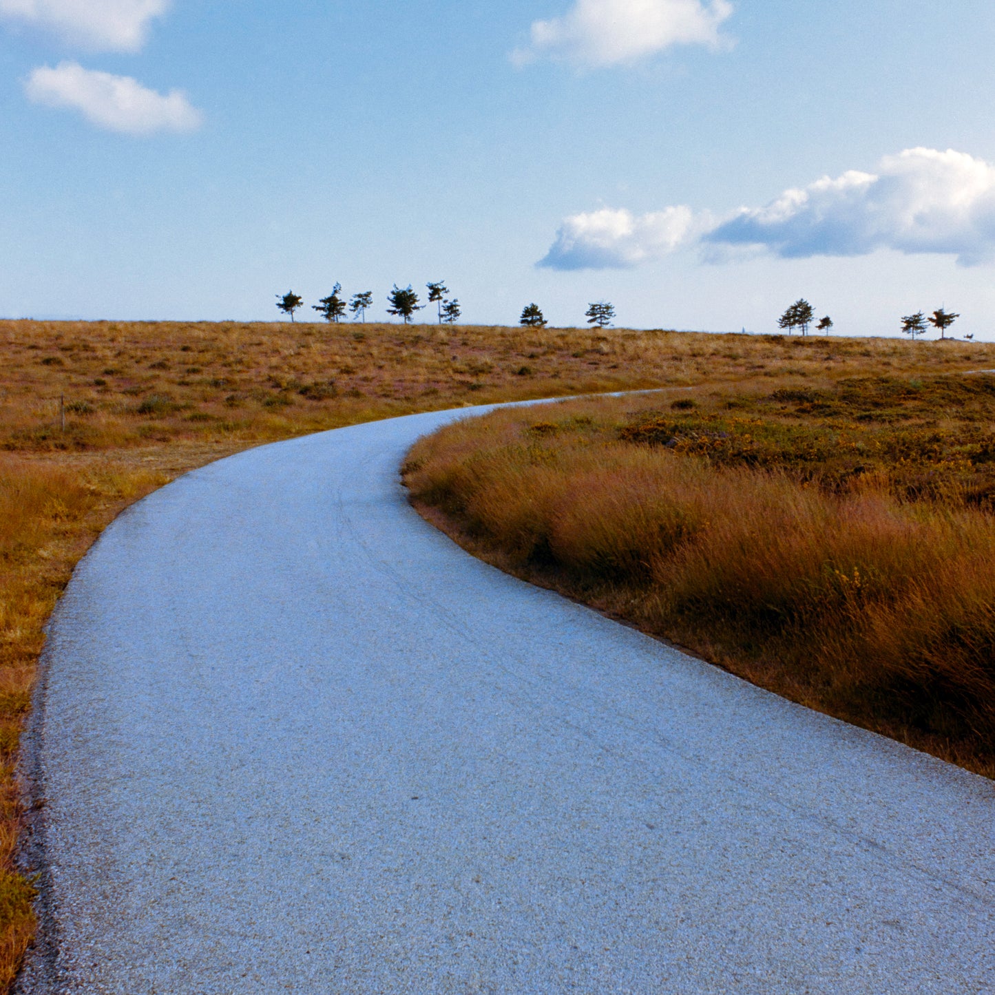 Going Somewhere - Simple Countryside Photo Print on Fine Art Paper