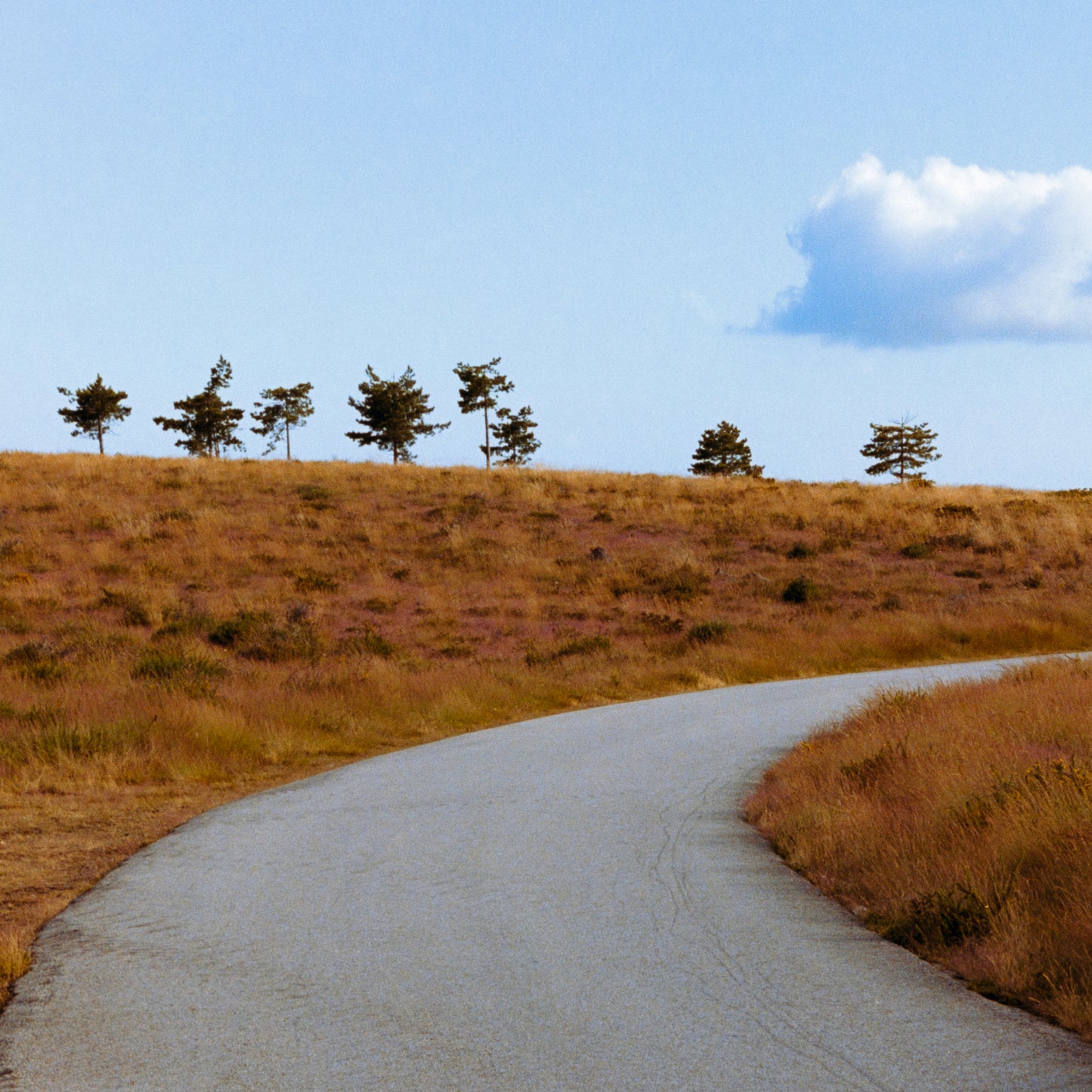 Heading Home - Print on Fine Art Paper