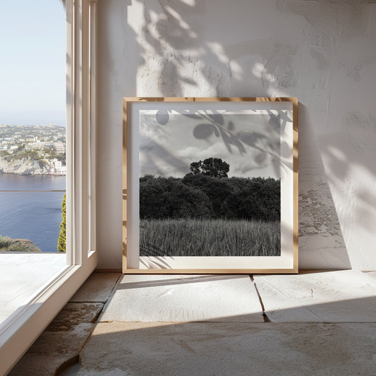 In Three Parts - Premium Print on Fine Art Paper