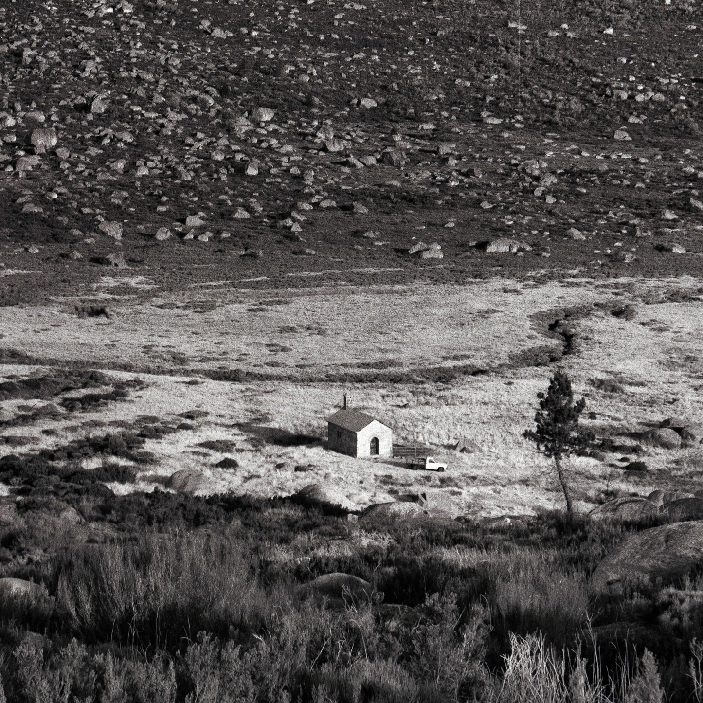 Isolation - Premium Print on Fine Art Paper