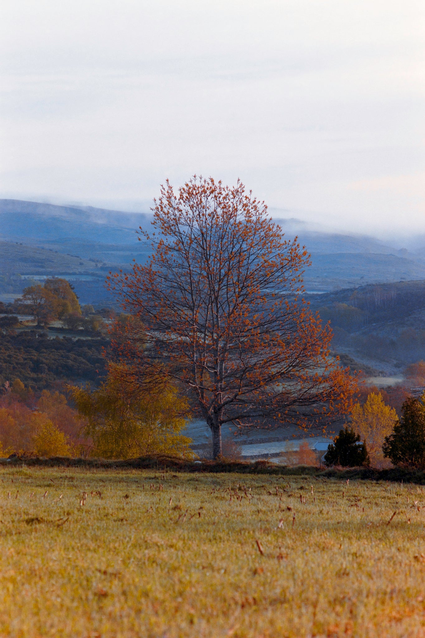Awakening - Colourful Landscape Photograph Giclée Print