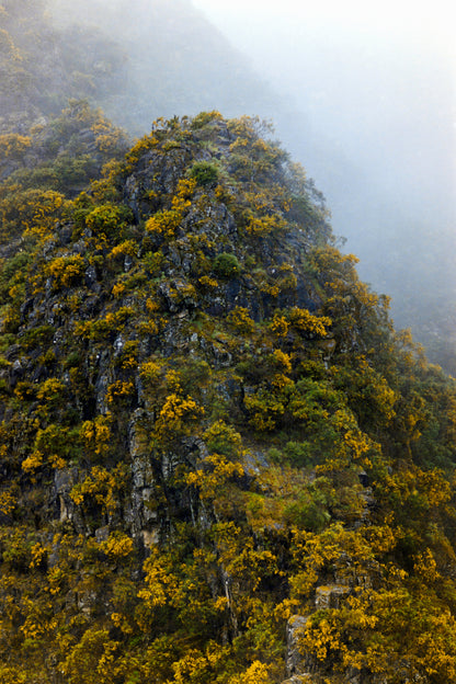 Misty Mountain - Dramatic Mountain Landscape Art Print