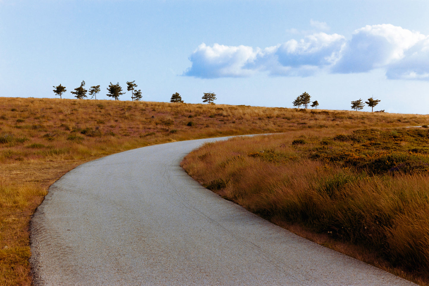 Heading Home - Print on Fine Art Paper