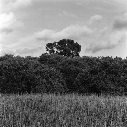 In Three Parts - Premium Print on Fine Art Paper