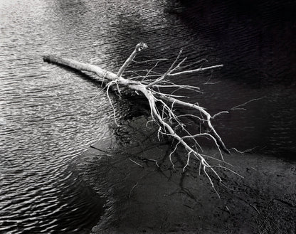 Anatomy of a Fall I - Premium Print on Fine Art Paper