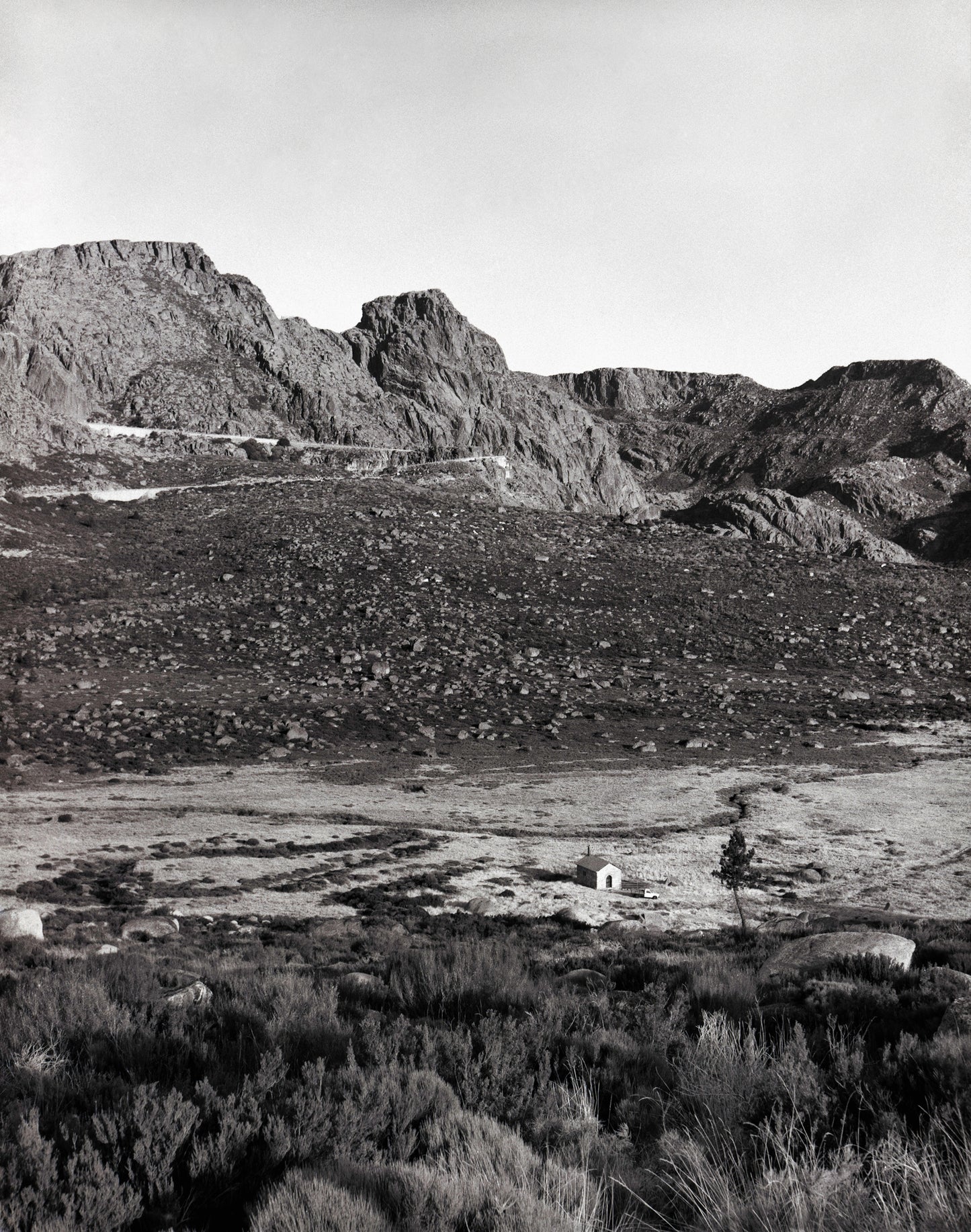 Isolation - Premium Print on Fine Art Paper
