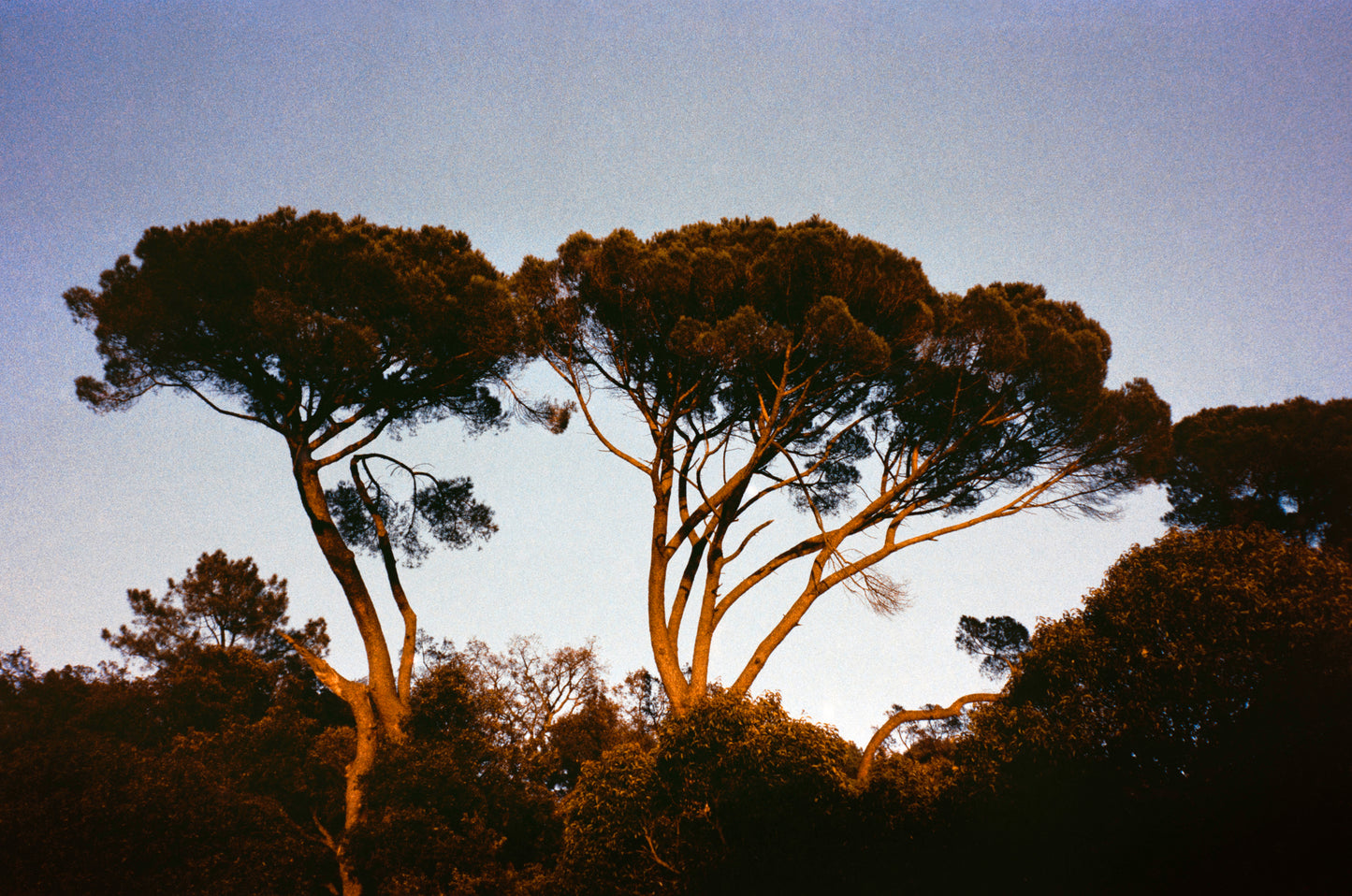 Urban Landscape II - Premium Print on Fine Art Paper