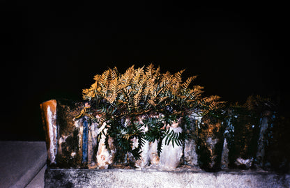 Urban Landscape I - Premium Print on Fine Art Paper