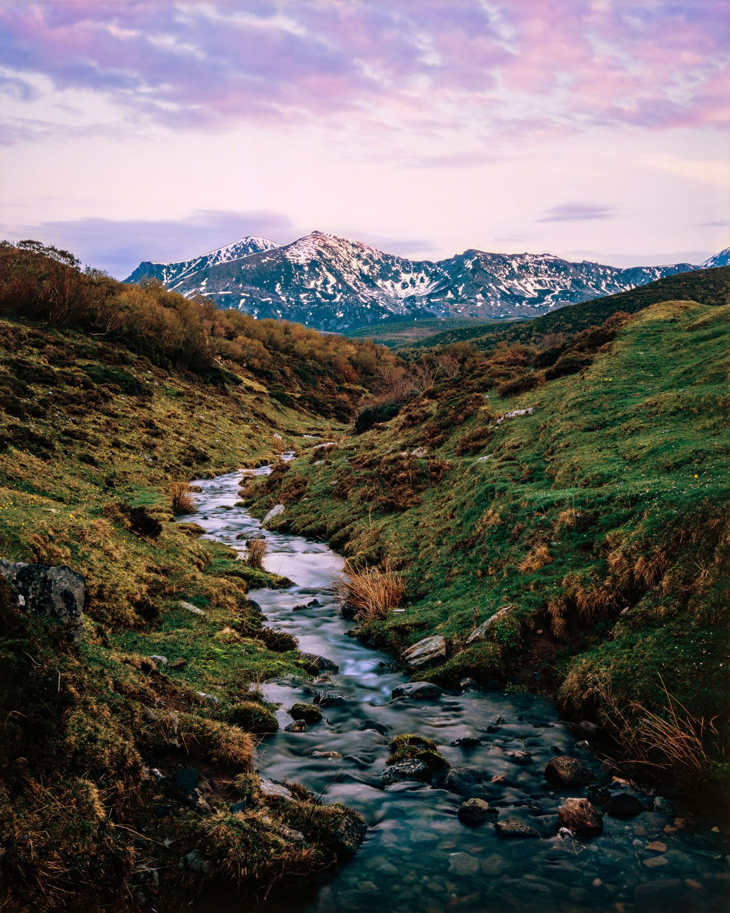 Twilight Stream - Limited Edition Print