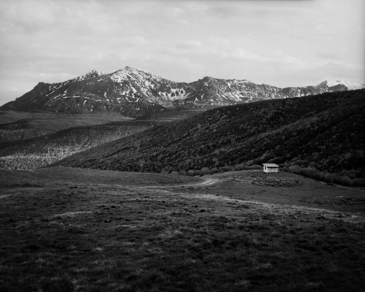 Distant Shelter - Limited Edition Print