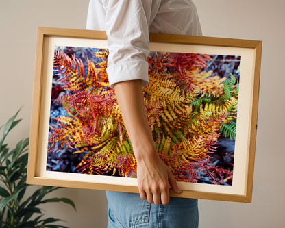 Painted Fern - Modern Colourful Nature High-Quality Photo Print