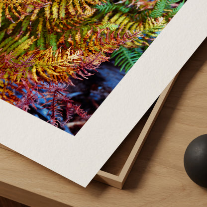 Painted Fern - Modern Colourful Nature High-Quality Photo Print