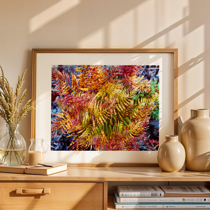 Painted Fern - Modern Colourful Nature High-Quality Photo Print