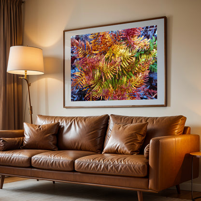 Painted Fern - Modern Colourful Nature High-Quality Photo Print