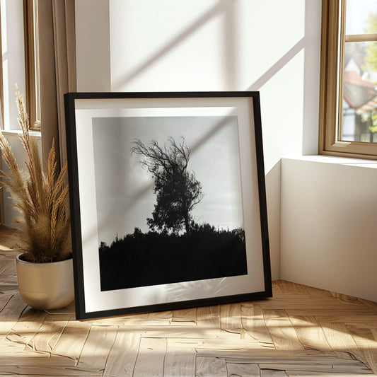 Tree Whispers - Premium Print on Fine Art Paper