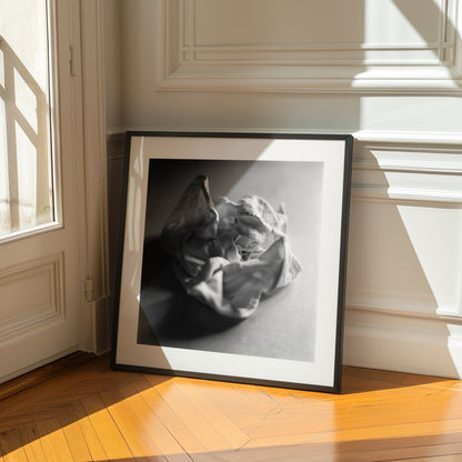 Wrinkled - Gallery-Grade Photo Print on Archival Fine Art Paper