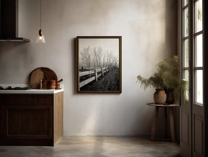 Fenced Trees - Limited Edition Print