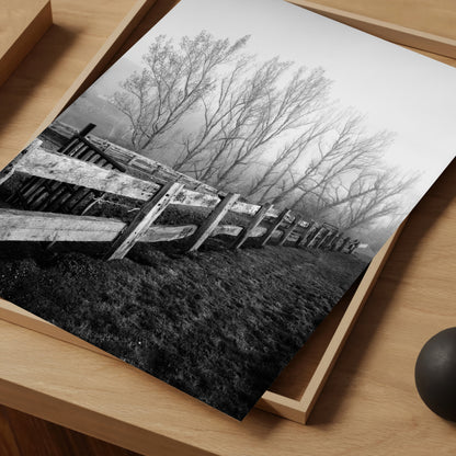 Fenced Trees - Limited Edition Print