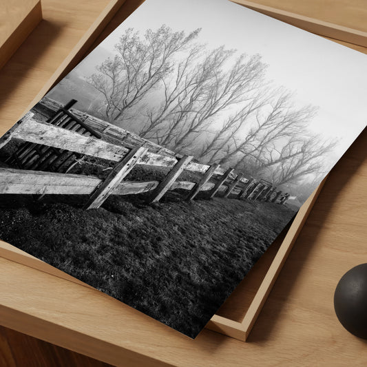 Fenced Trees - Limited Edition Print